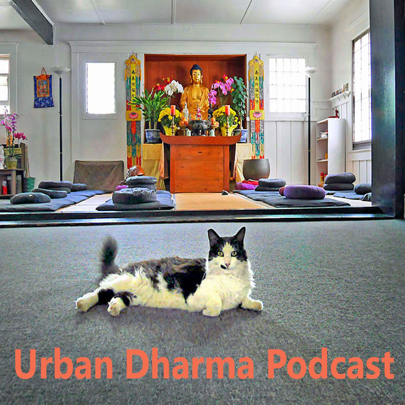 Urban Dharma Podcast